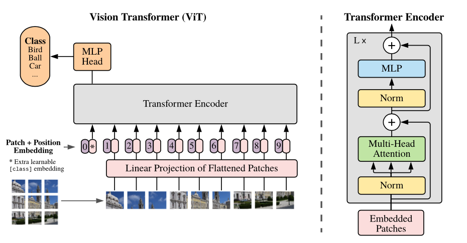 Fig: ViT Architecture